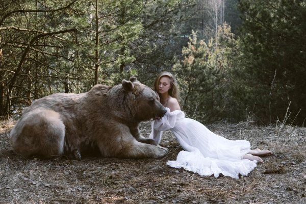 медведь степан