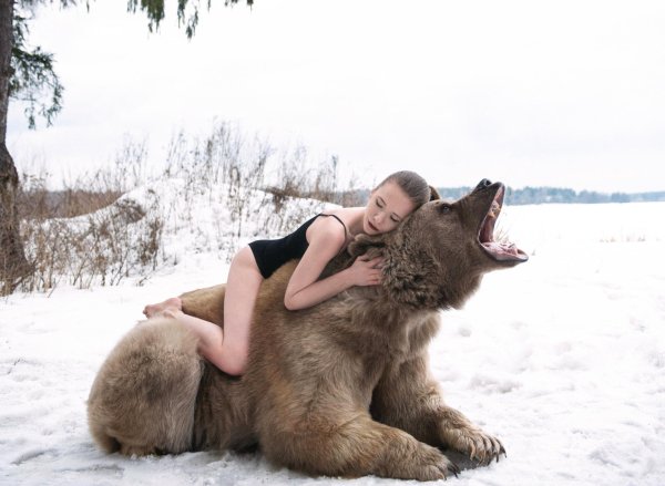 медведь степан