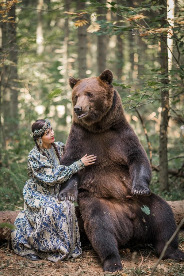 фотосессия с медведем