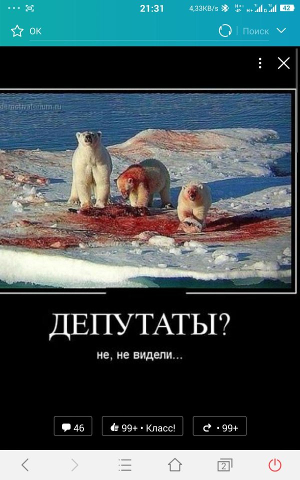 медведь юмор