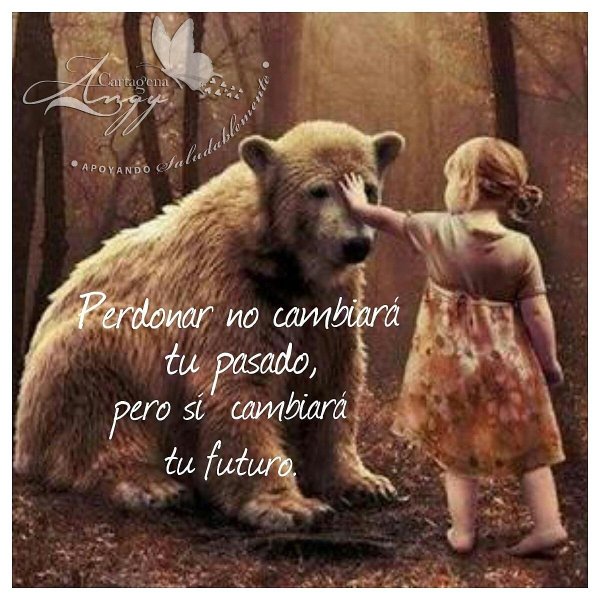 медведь картина