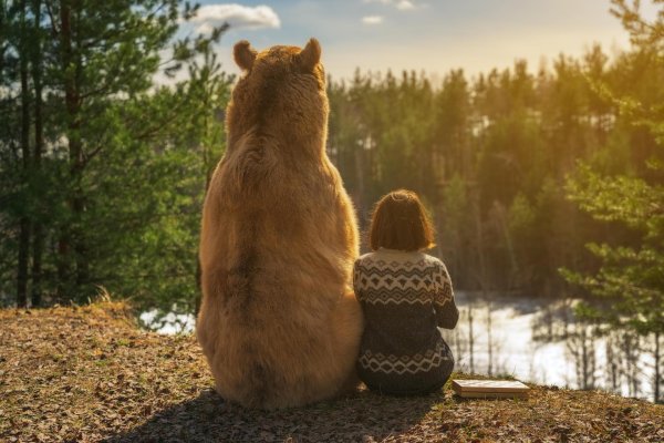 про медведя