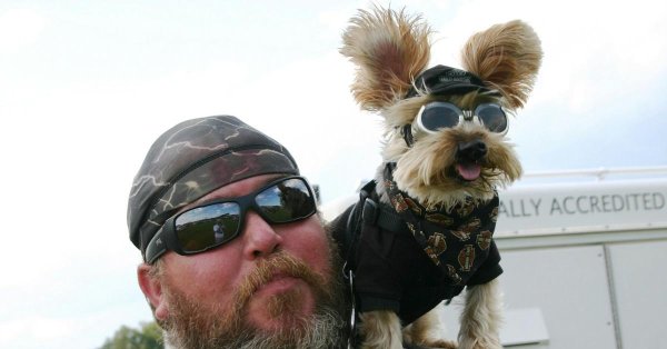 прикольные мужики