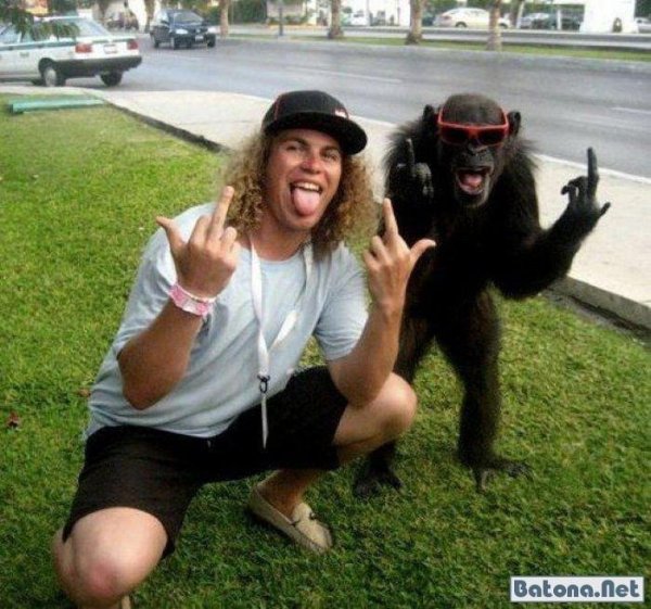 веселые парни