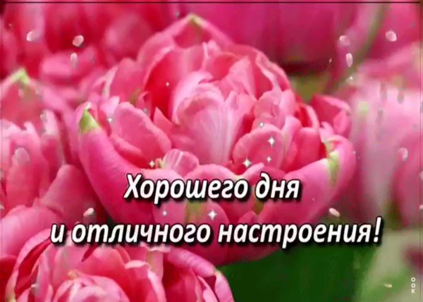 Добрый день женщине красивые