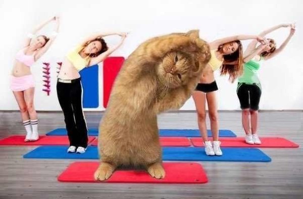 разминка в аэробике