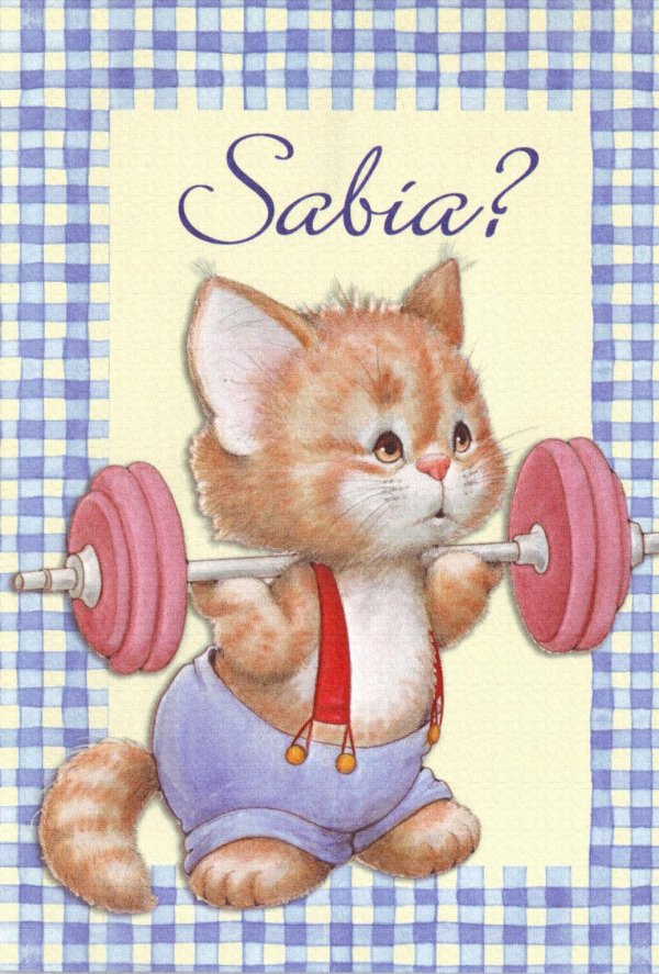 котенок со штангой