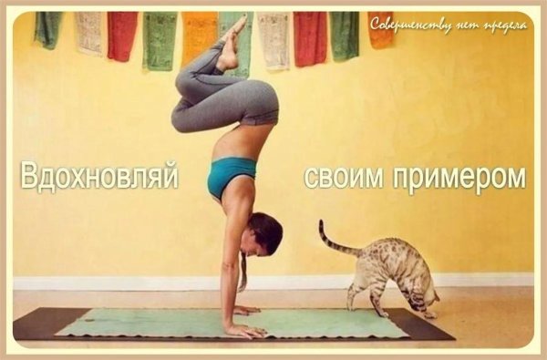 спорт йога