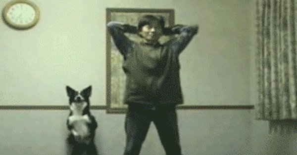 веселые гифки