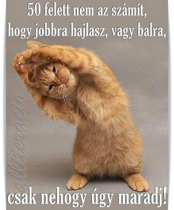 смешная зарядка