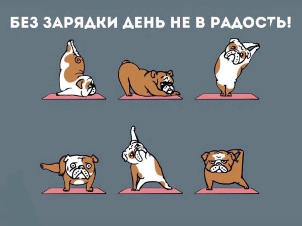 утренние зарядки