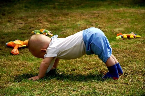 ползающий ребенок