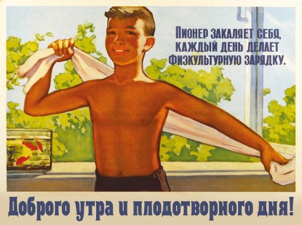 На зарядку становись