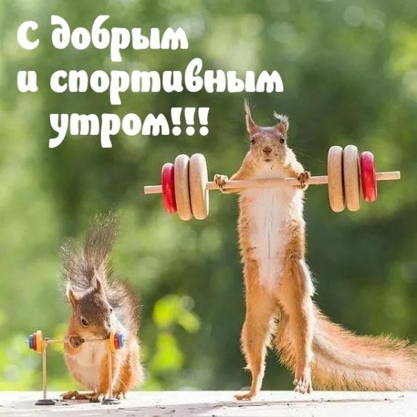 животные спортсмены