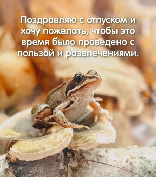 Хорошего отдыха пожелания женщине