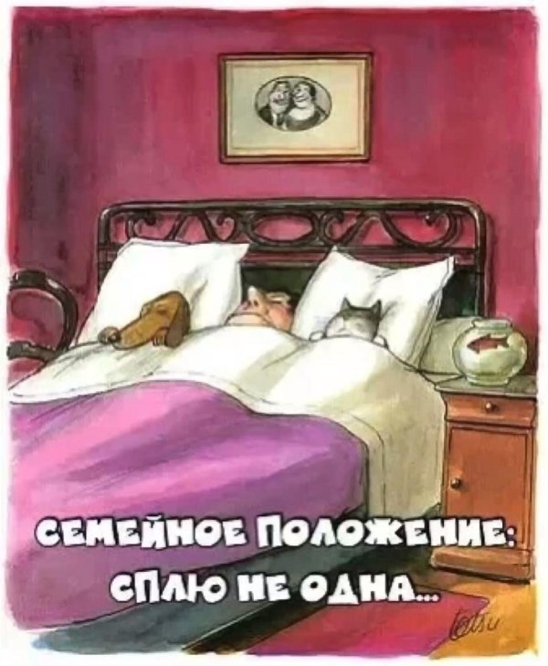 семейное положение