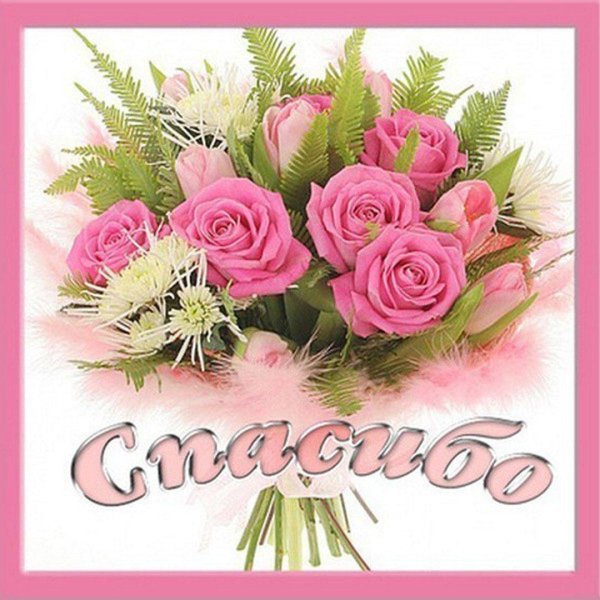 благодарю цветы