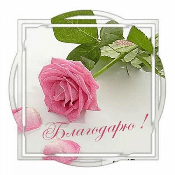 благодарю взаимно