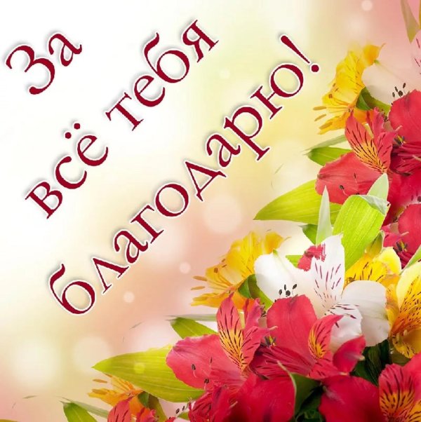 благодарим от всей души