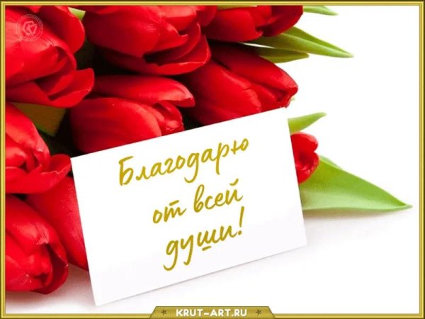 благодарим от всей души