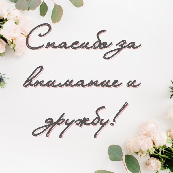 благодарю за дружбу