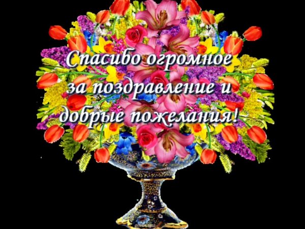 огромное спасибо за поздравление