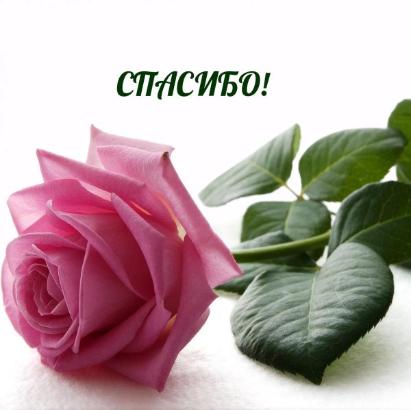 благодарю взаимно