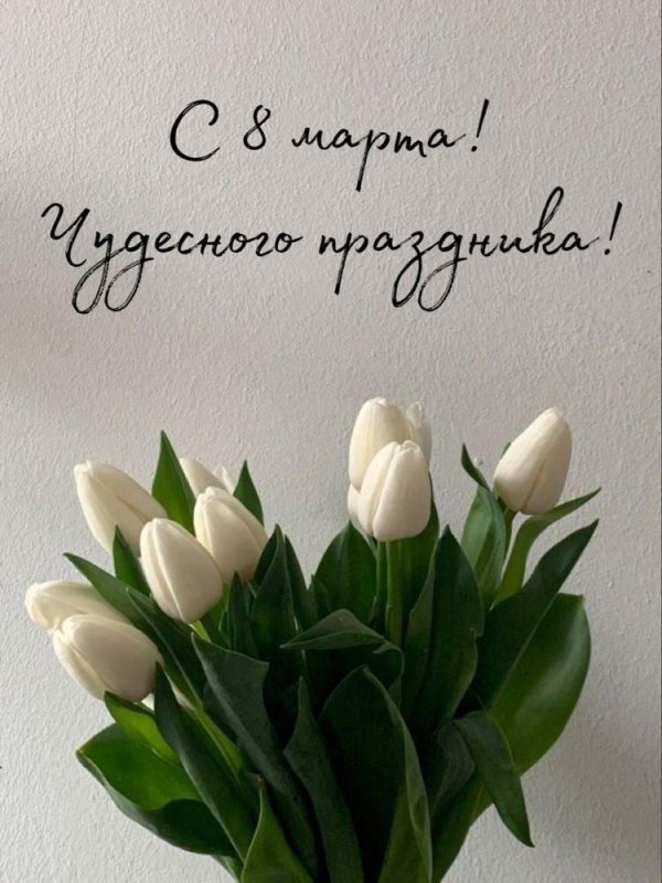 белый тюльпан