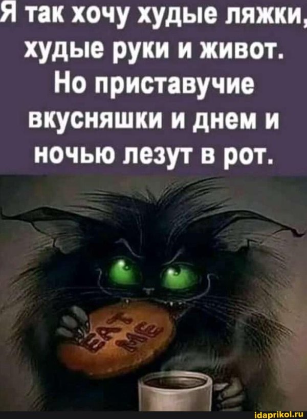 смешная поговорка