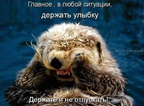 улыбка животных