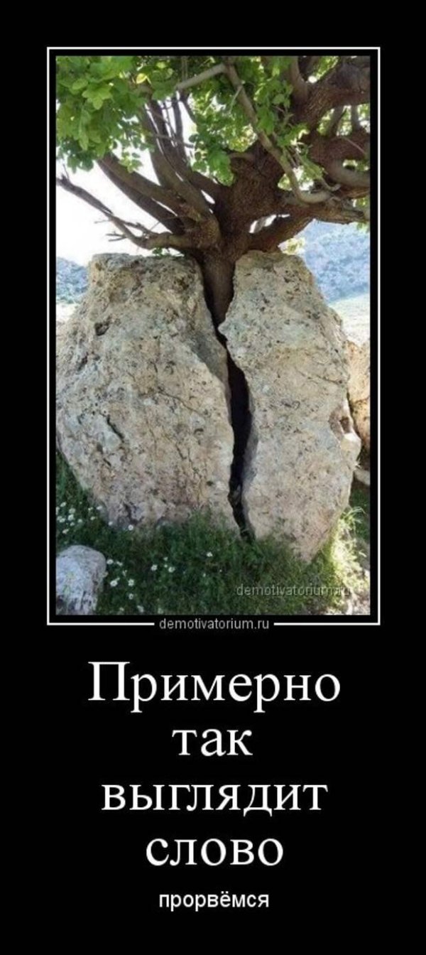 анекдоты приколы