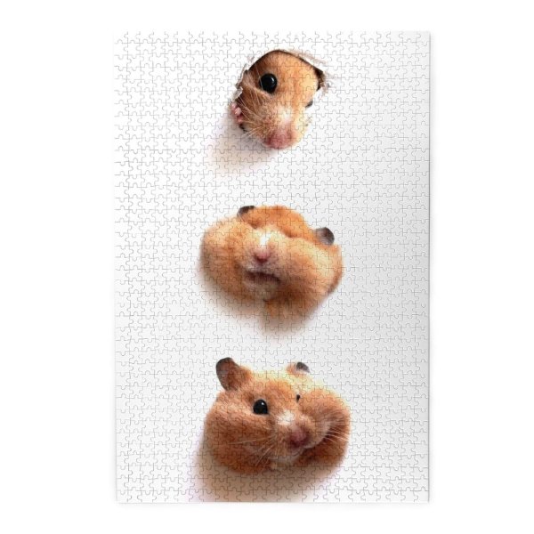 мордочка хомяка