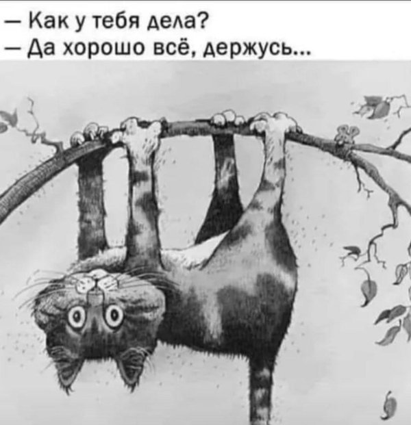 день вверх тормашками