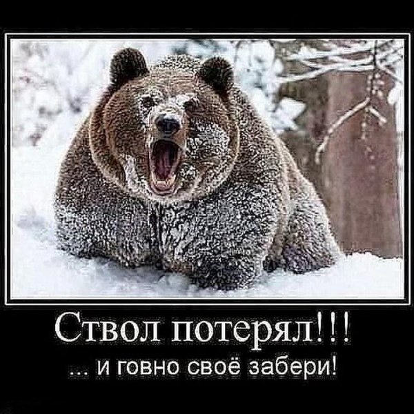 не будите русского медведя