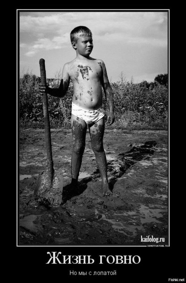 шутки про настойчивость