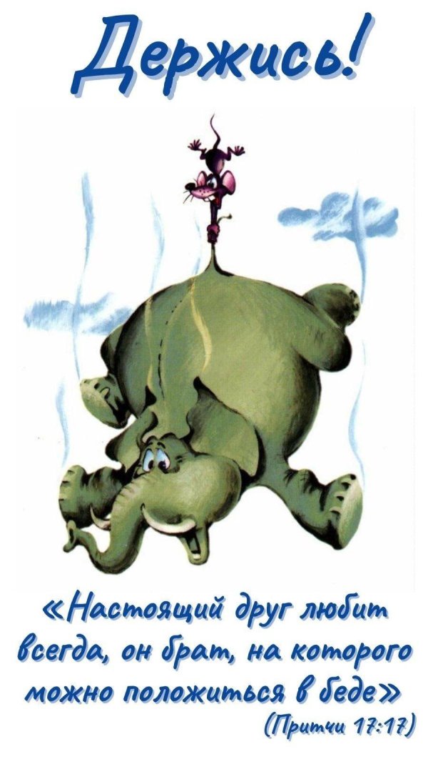 любимому другу