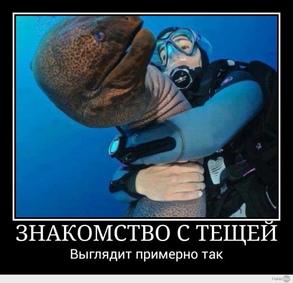 мурена рыба