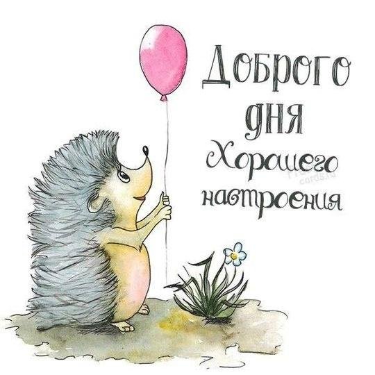 доброе утро