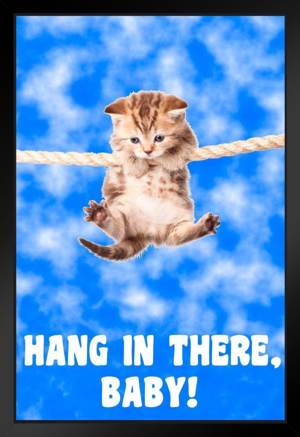 hang in there