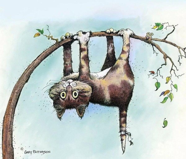 забавные иллюстрации