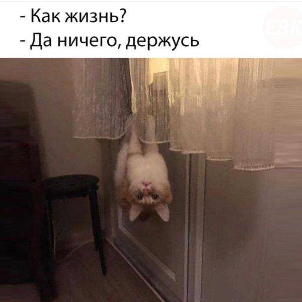 как дела держусь