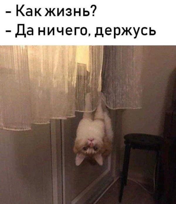 как дела держусь