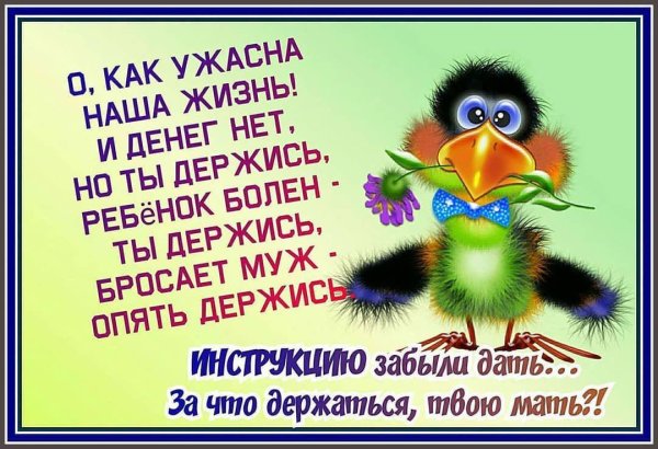 смешные поздравления