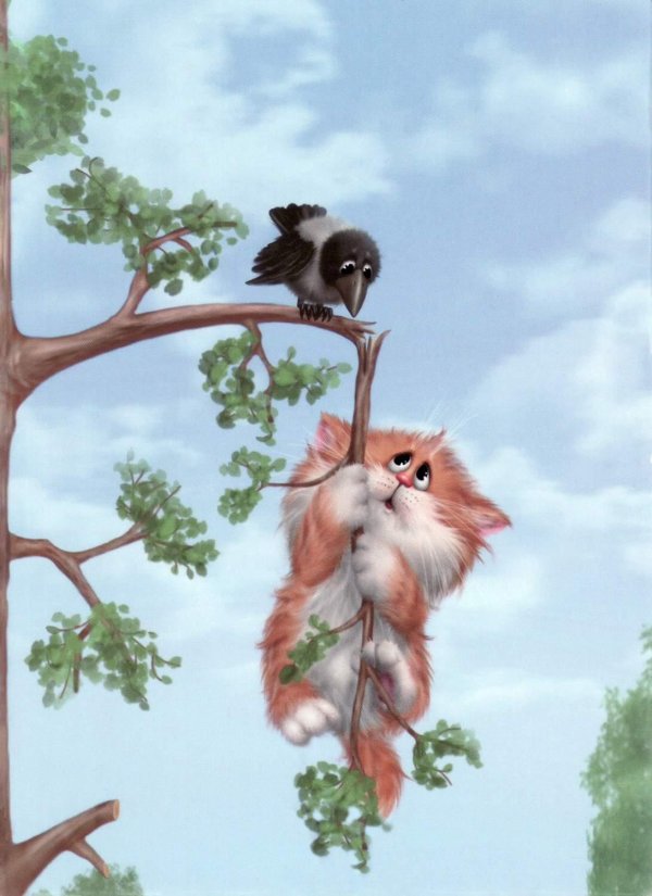 котики алексея долотова