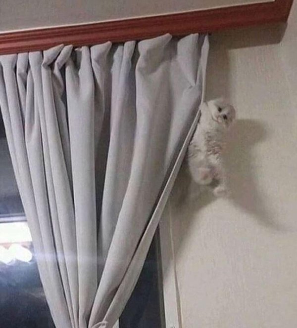 ничего держусь