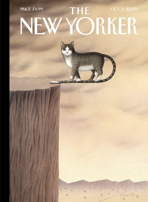 иллюстрация кошка