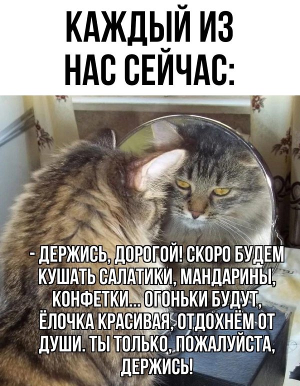 приколы для поднятия настроения