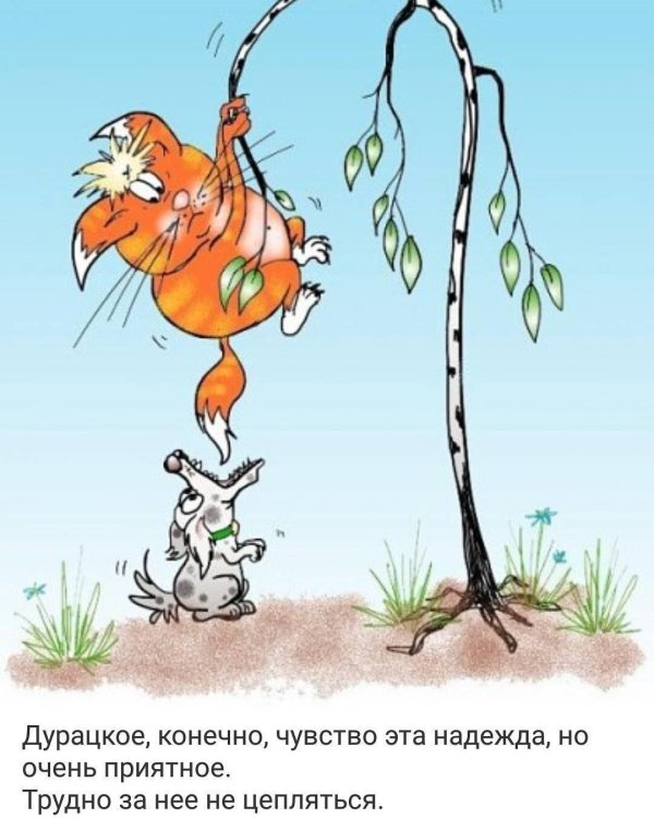 береза карикатура