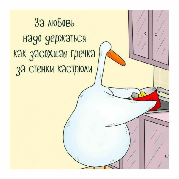 гуси прикол