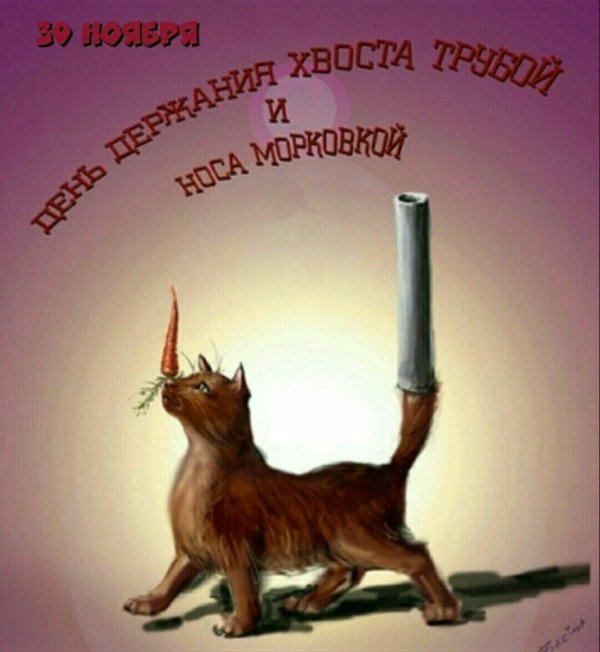 хвост трубой